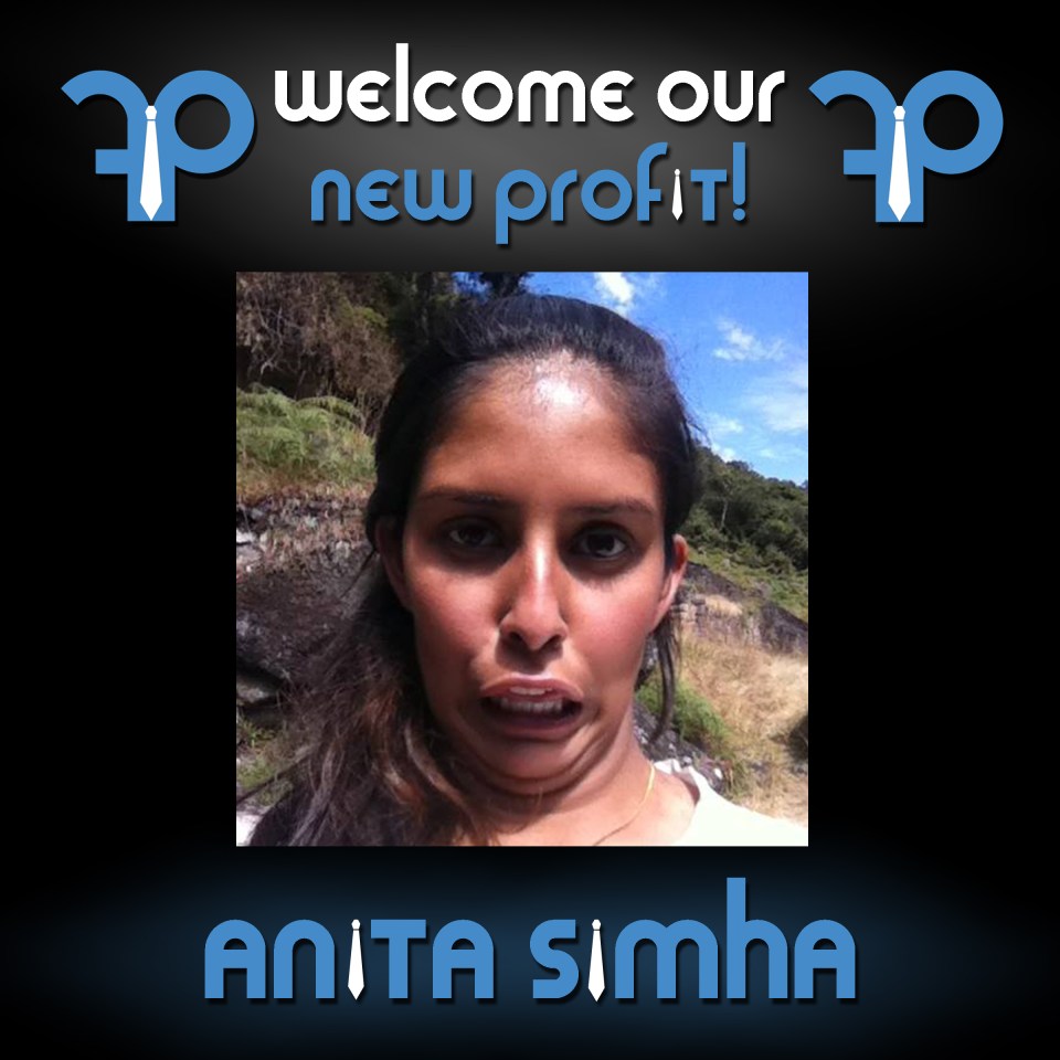 New Profits (Fall 2014 Anita)